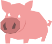 pig